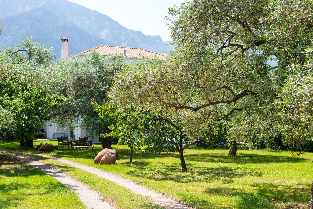Anastasia Apartments Скала-Потамьяс Екстер'єр фото