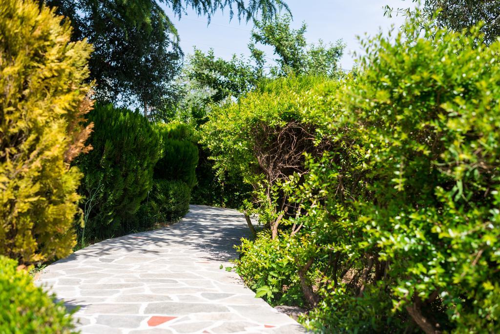 Anastasia Apartments Скала-Потамьяс Екстер'єр фото
